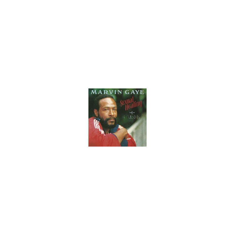 SEXUAL HEALING: THE REMIXES RSD2018