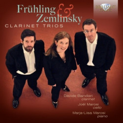 TRIO PER CLARINETTO,...