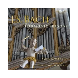 HARMONIC SEASONS