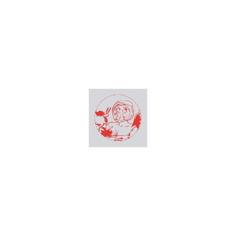 SONGS FOR SWINGING LARVAE / SONGS FROM T