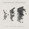 THE THING WITH FEATHERS