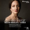 ERINNERUNG.  LIEDER