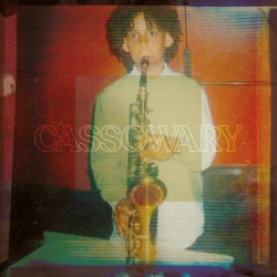CASSOWARY