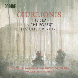 THE SEA - IN THE FOREST