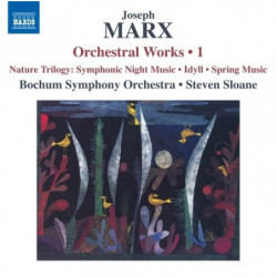 OPERE ORCHESTRALI...