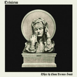 WHERE THE GLOOM BECOMES SOUND