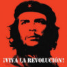 VIVA LA REVOLUCION!
