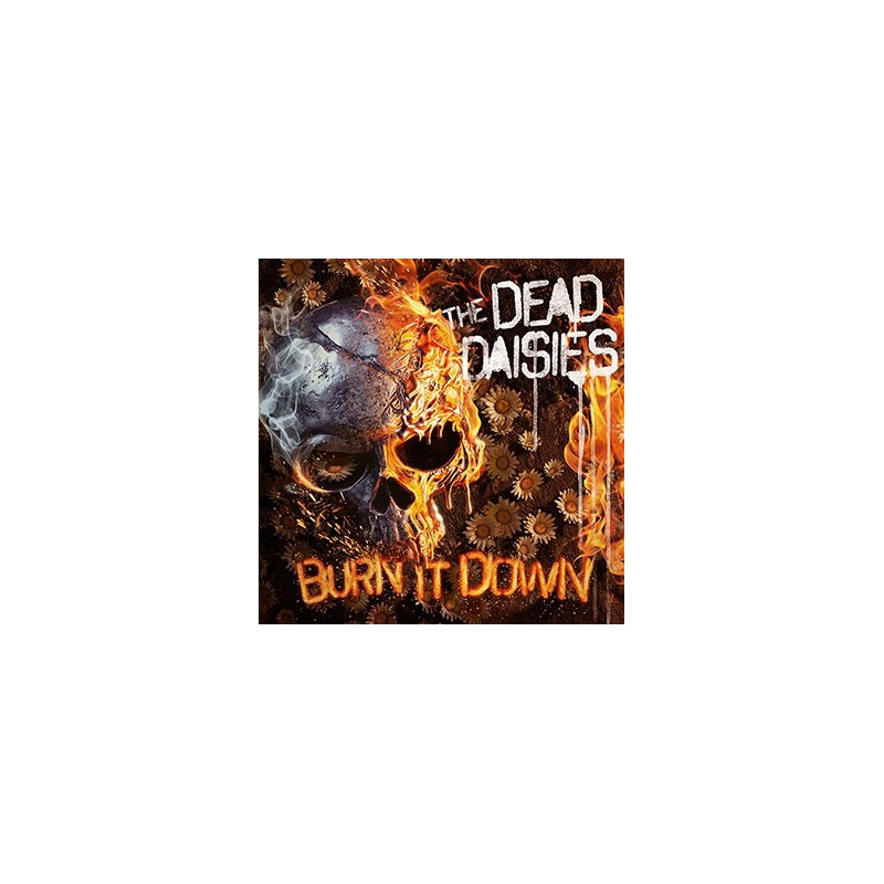 BURN IT DOWN