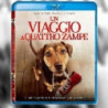 UN VIAGGIO A QUATTRO ZAMPE (BLU-RAY)