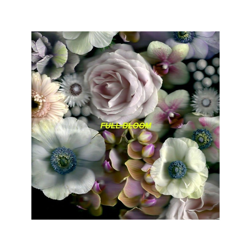 FULL BLOOM