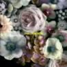 FULL BLOOM