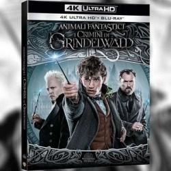 ANIMALI FANTASTICI E I CRIMINI DI GRINDELWALD (4K UHD + BLU-RAY)