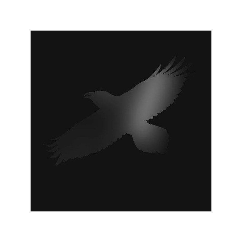ODINS RAVEN MAGIC (WITH STEIND