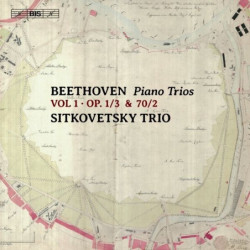 TRII PER PIANOFORTE E...