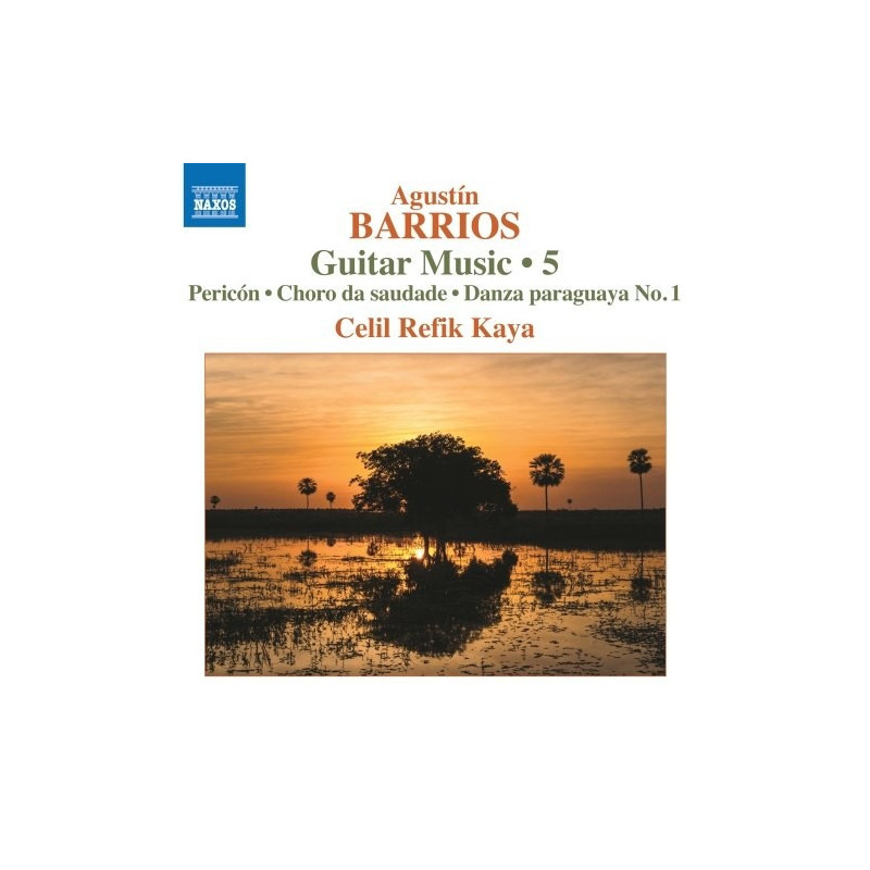 OPERE PER CHITARRA (INTEGRALE), VOL.5