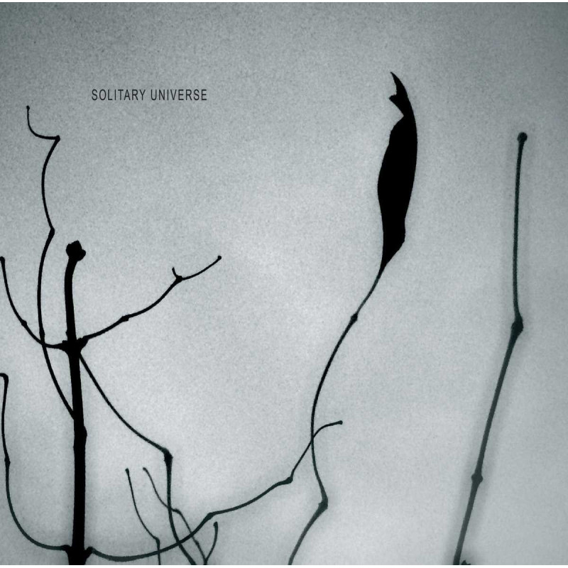 SOLITARY UNIVERSE