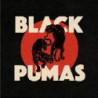 BLACK PUMAS