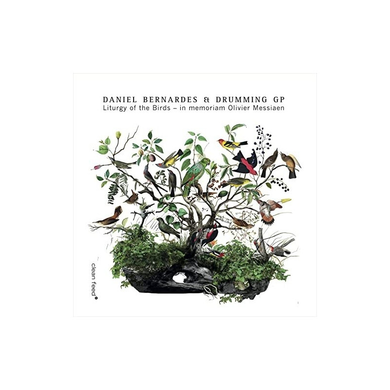 LITURGY OF THE BIRDS û IN MEMORIAM OLIVI
