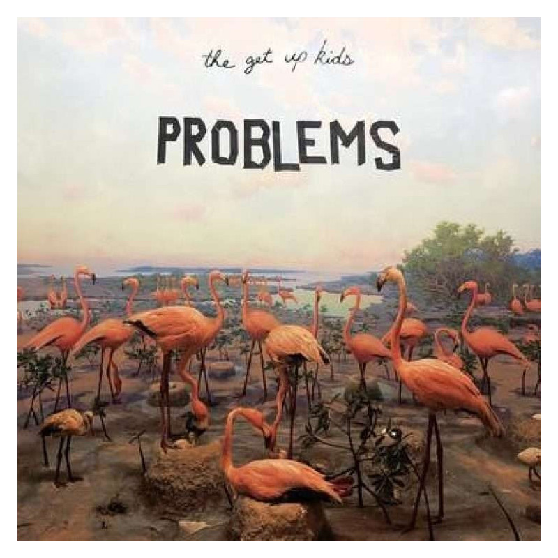PROBLEMS