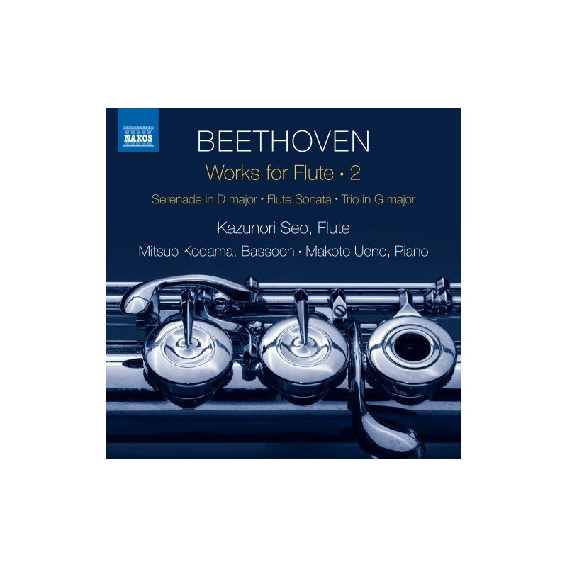 WORKS FOR FLUTE, VOL.2 - MUSICA DA CAMER