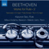 WORKS FOR FLUTE, VOL.2 - MUSICA DA CAMER