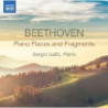 PIANO PIECES AND FRAGMENTS
