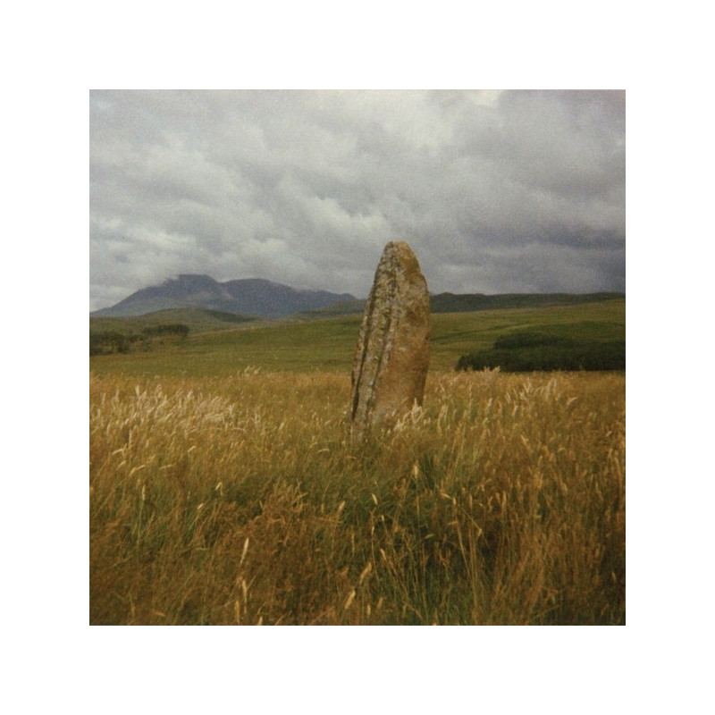 IN SEARCH OF SPACES
