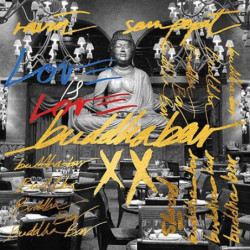 BUDDHA BAR VOL.20