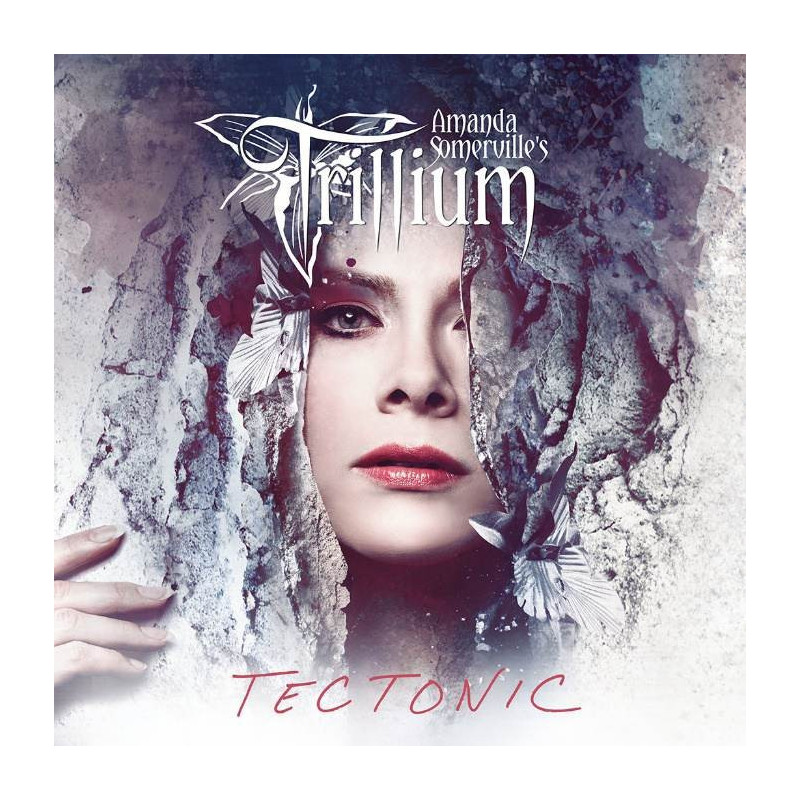 TECTONIC