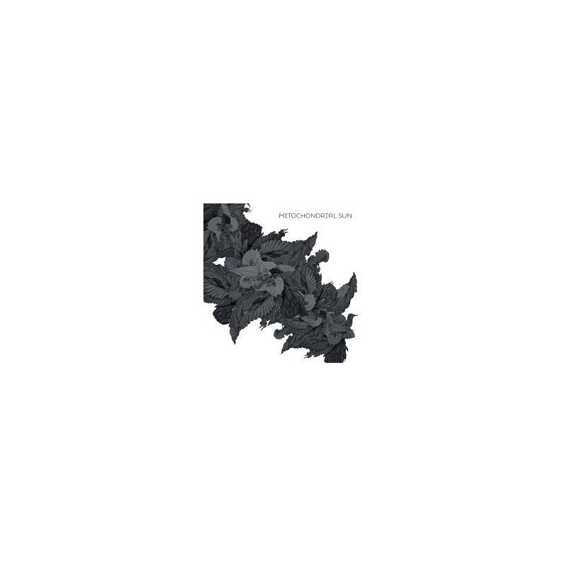 PLEADS PLEAT EP