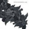PLEADS PLEAT EP