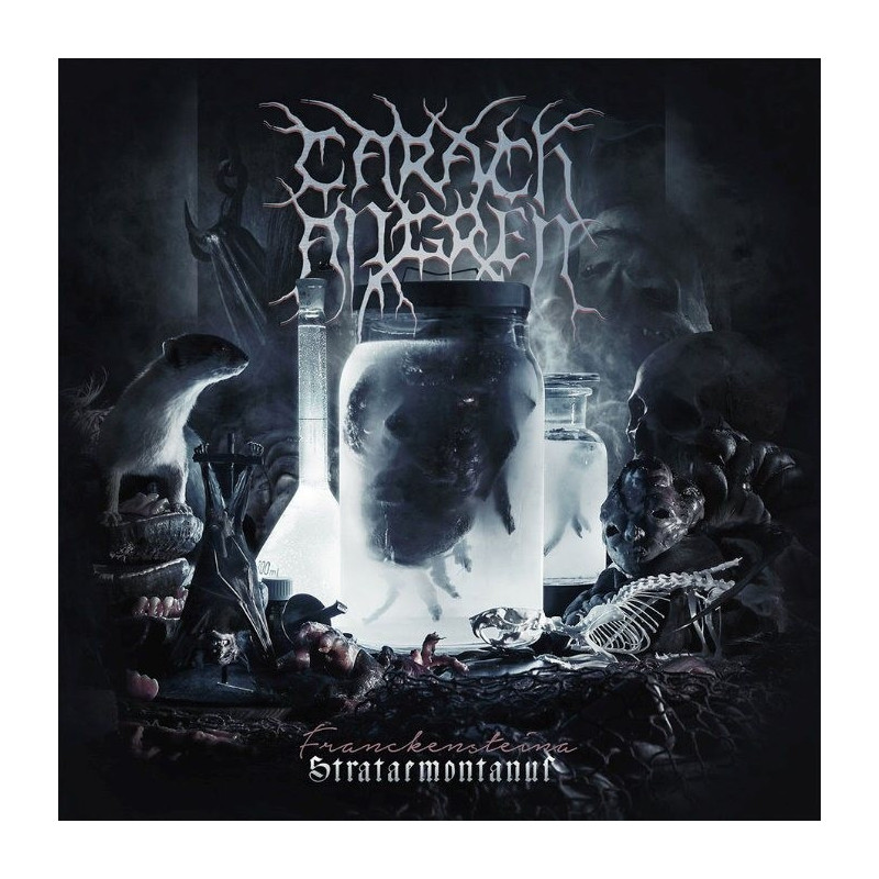 FRANCKENSTEINA STRATAEMONTANUS