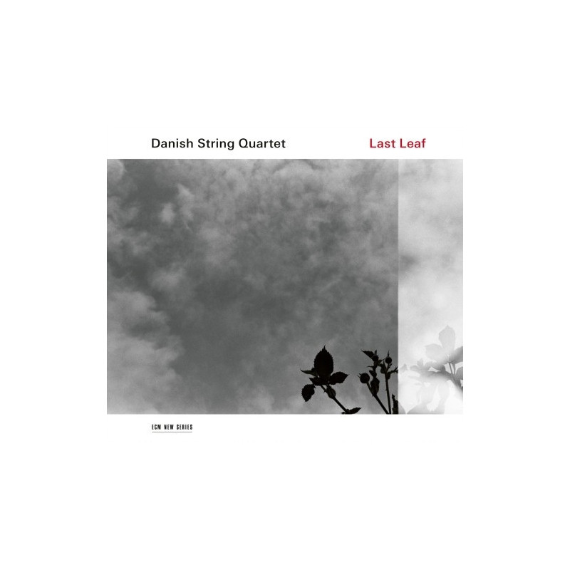 LAST LEAF - ARRANGIAMENTI DI BRANI TRADI