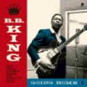GOING HOME [LP]