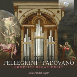 PELLEGRINI & PADOVANO:...