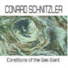 CONDITIONS OF THE GAS GIANT