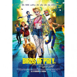BIRDS OF PREY (DS)