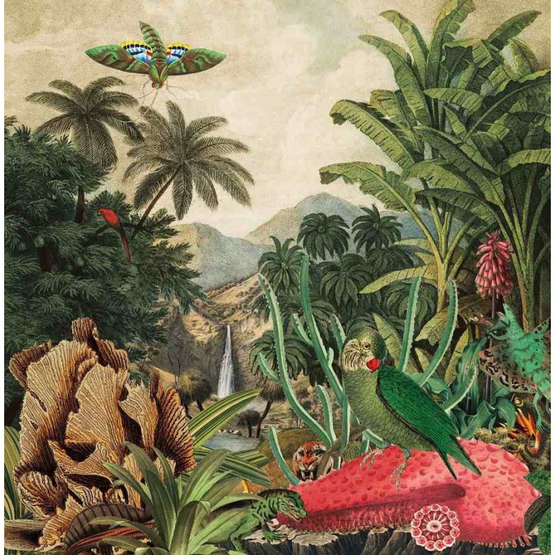 IMAGINARY ISLAND MUSIC VOL.1