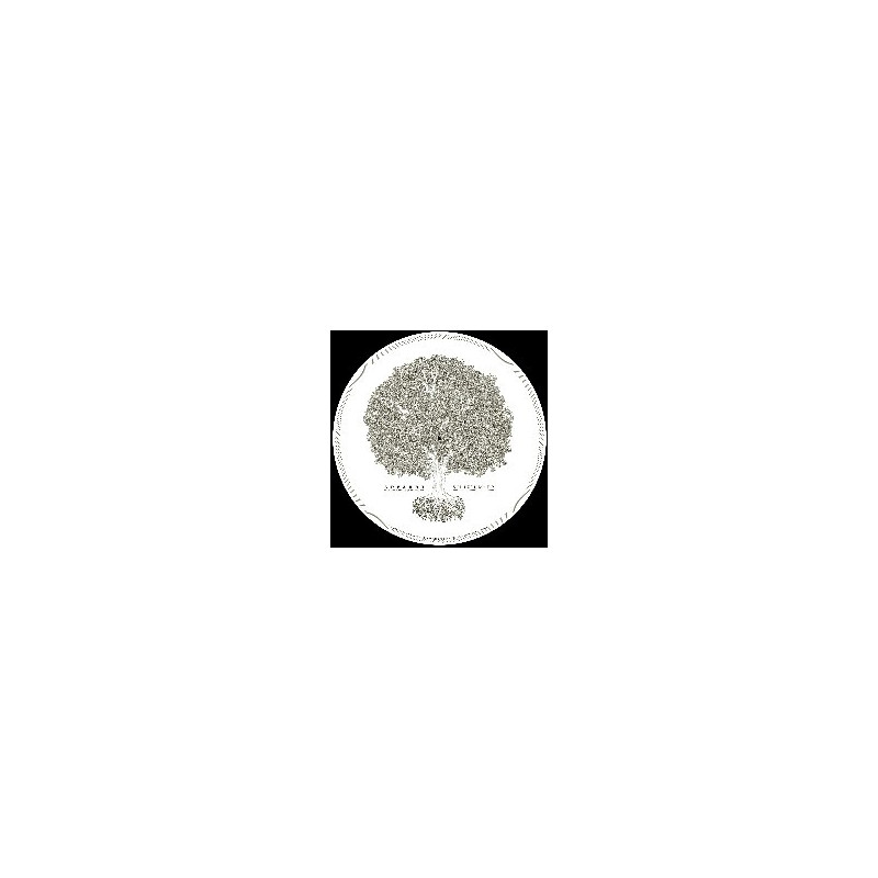 SILIZIUM EP