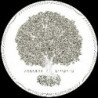 SILIZIUM EP