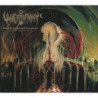 ENTROPIC REFLECTIONS CONTINUUM: DIMENSIO