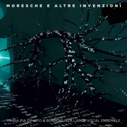 MORESCHE ED ALTRE INVENZIONI