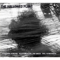 HALLOWED PLANT