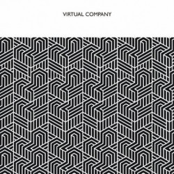 VIRTUAL COMPANY