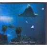 STEFANO GHITTONI & DJ ROCCA-ATEMPORAL CD