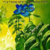 FLY FROM HERE - RETURN TRIP