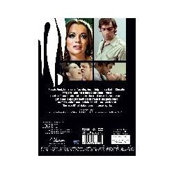 L`IMPORTANTE E` AMARE - DVD NEW