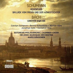 ADVENTLIED OP.71, VOM PAGEN...