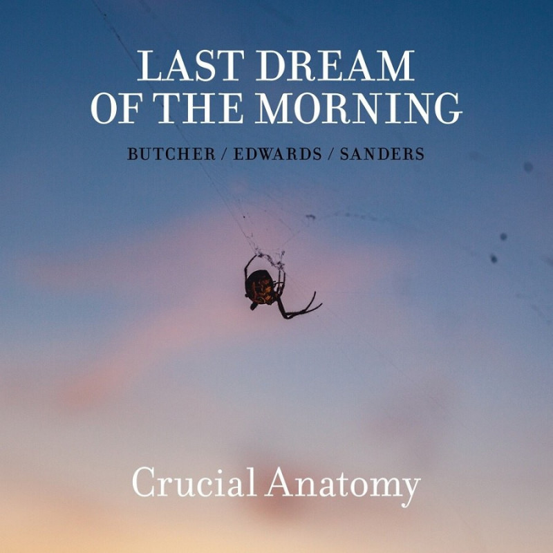 LAST DREAM OF THE MORNING