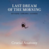 LAST DREAM OF THE MORNING